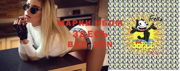 индика Липки