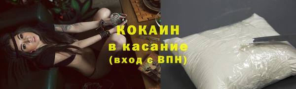 сатива Майский
