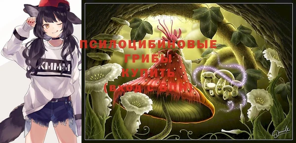 сатива Майский