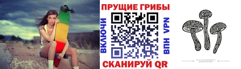 купить наркоту  Краснообск  Галлюциногенные грибы Psilocybine cubensis 