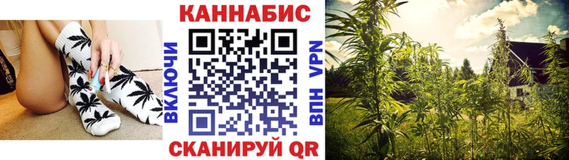 Бошки марихуана конопля  hydra маркетплейс  Краснообск 